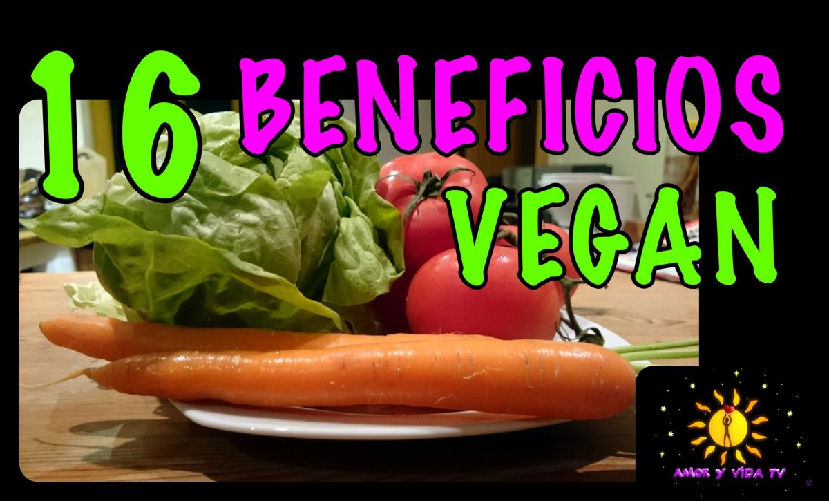 16 Beneficios Para La Salud De Una Dieta Vegetariana Vegana Nuria 2758